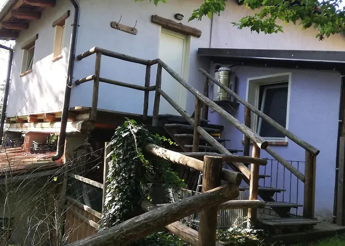 Il Canto Del Bosco