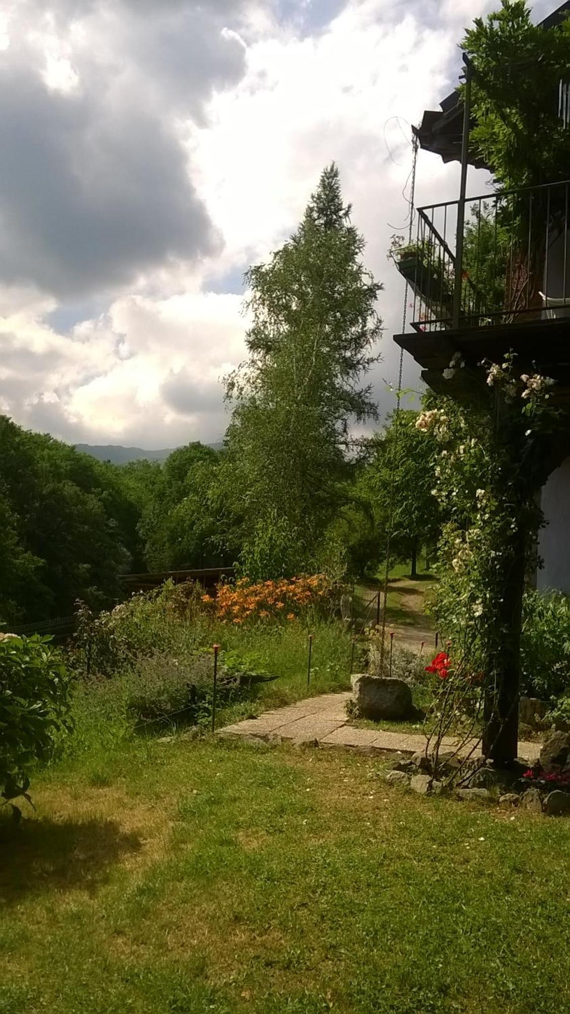 Il Canto Del Bosco *