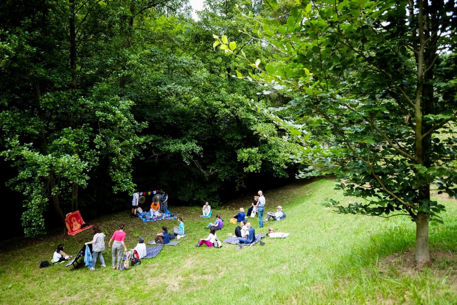 Il Canto Del Bosco *