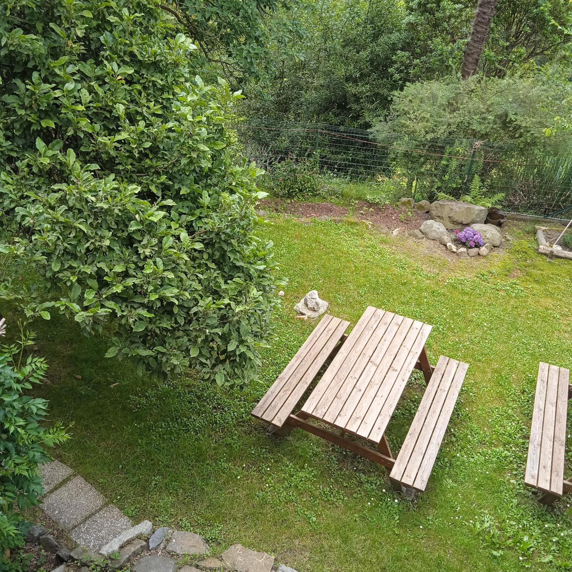 Il Canto Del Bosco