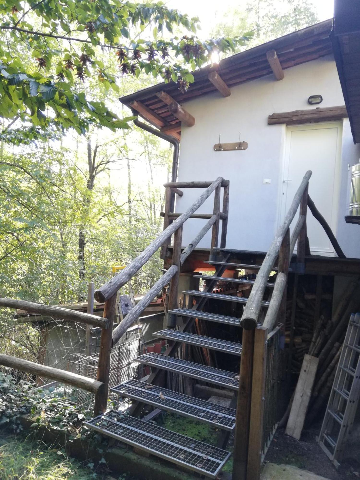 Il Canto Del Bosco * Netro