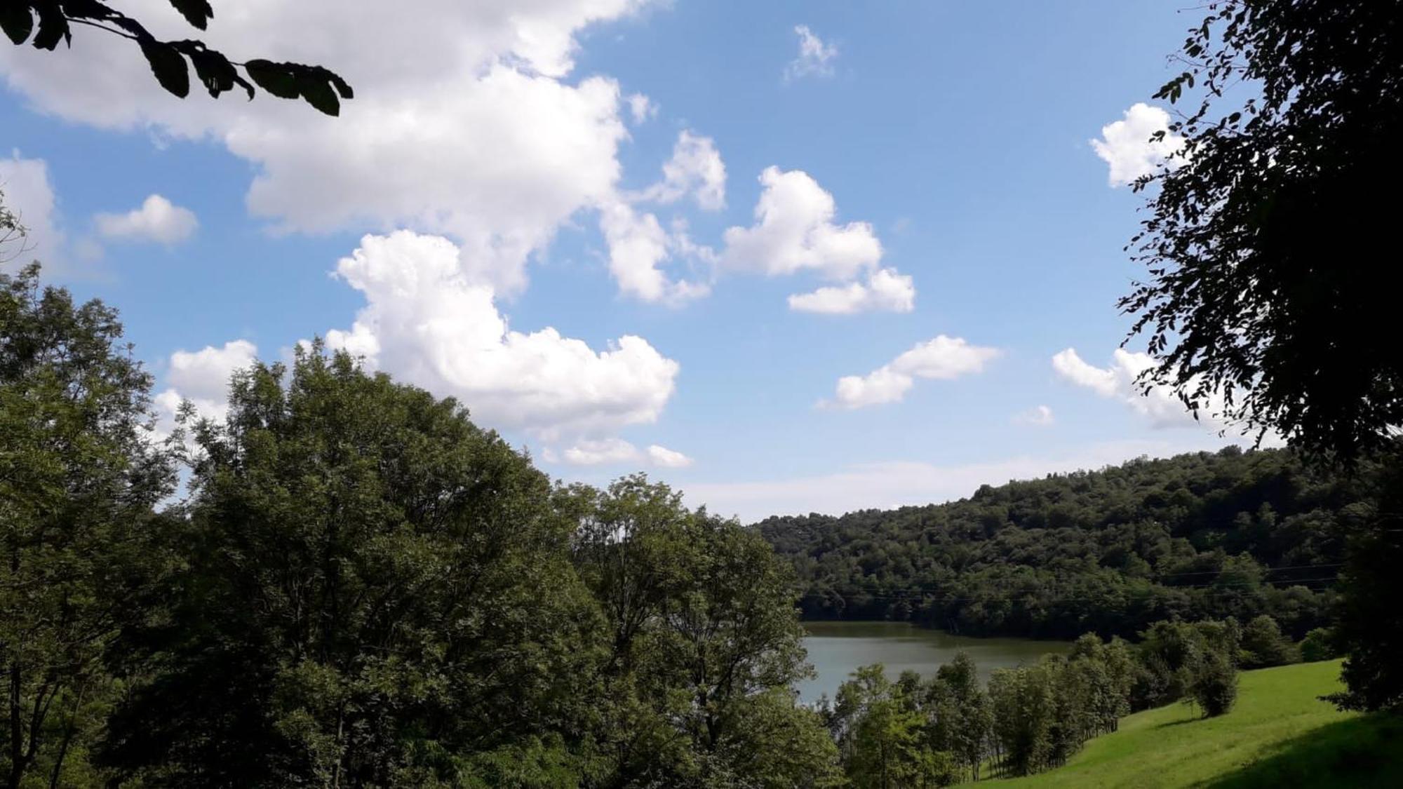 Il Canto Del Bosco * Netro