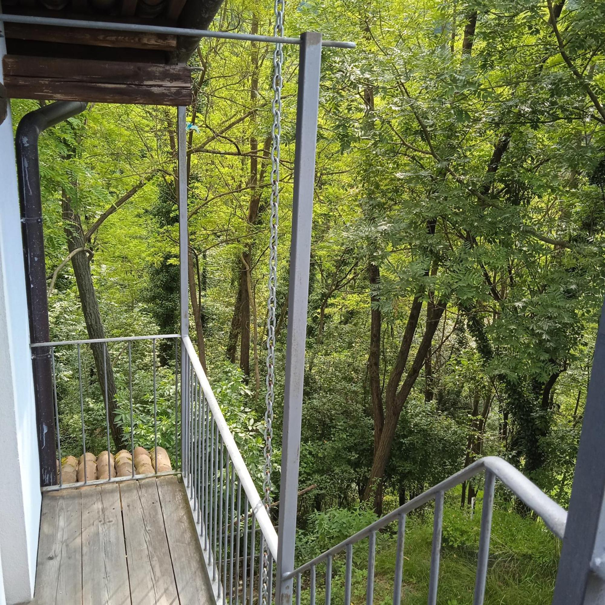 Il Canto Del Bosco Apartment *