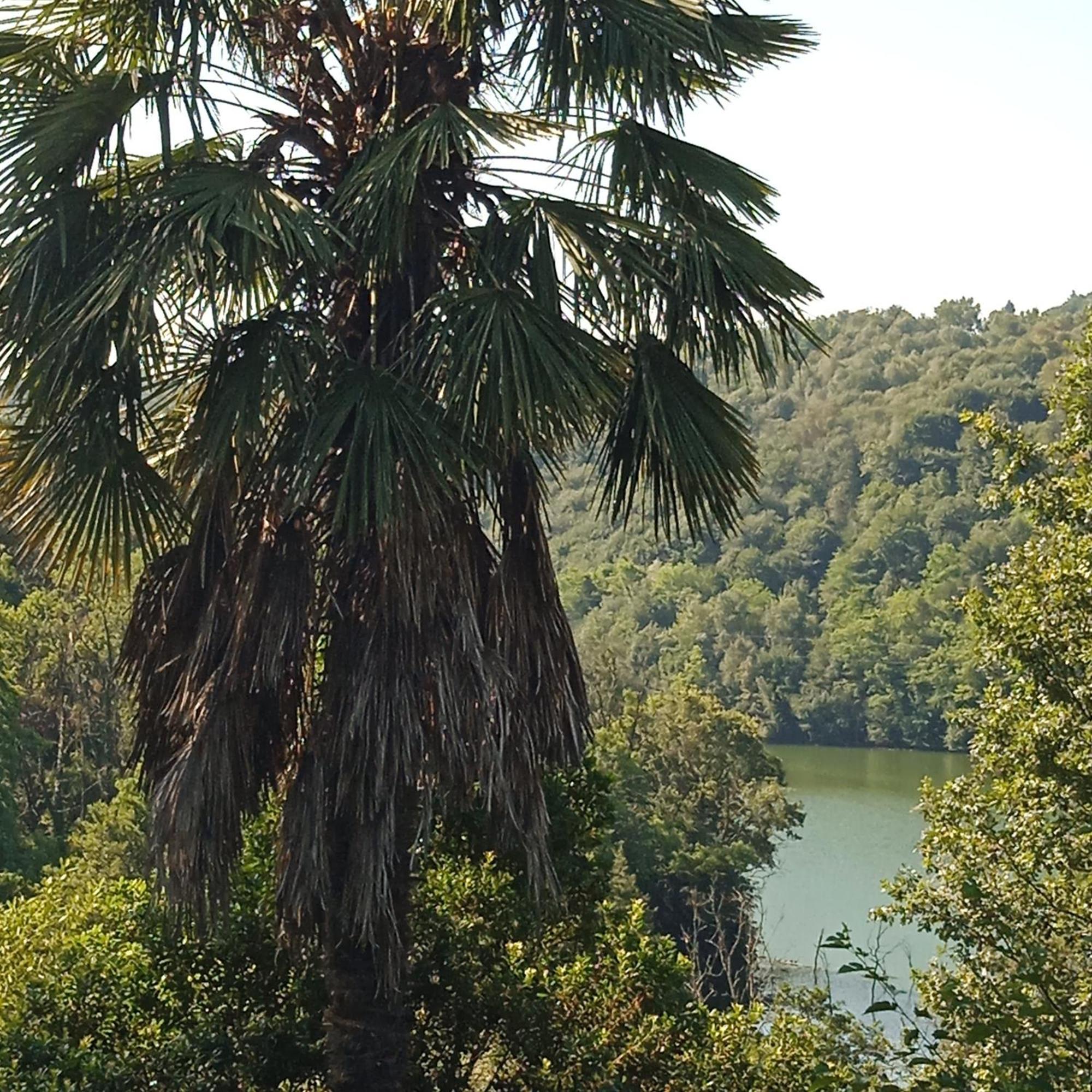 Il Canto Del Bosco Apartment